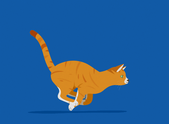 cat-running2
